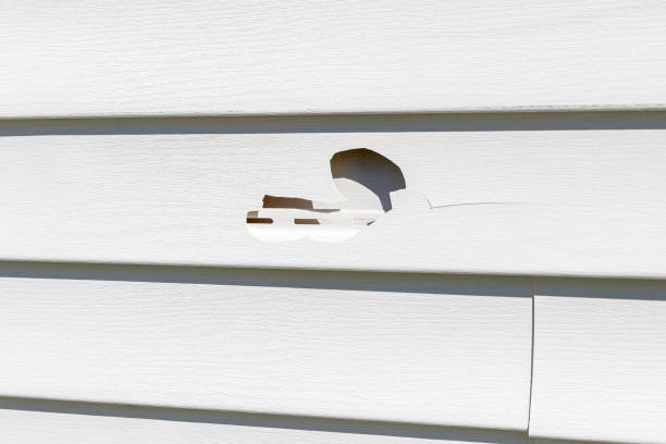 Best Shed Removal  in Mastic, NY